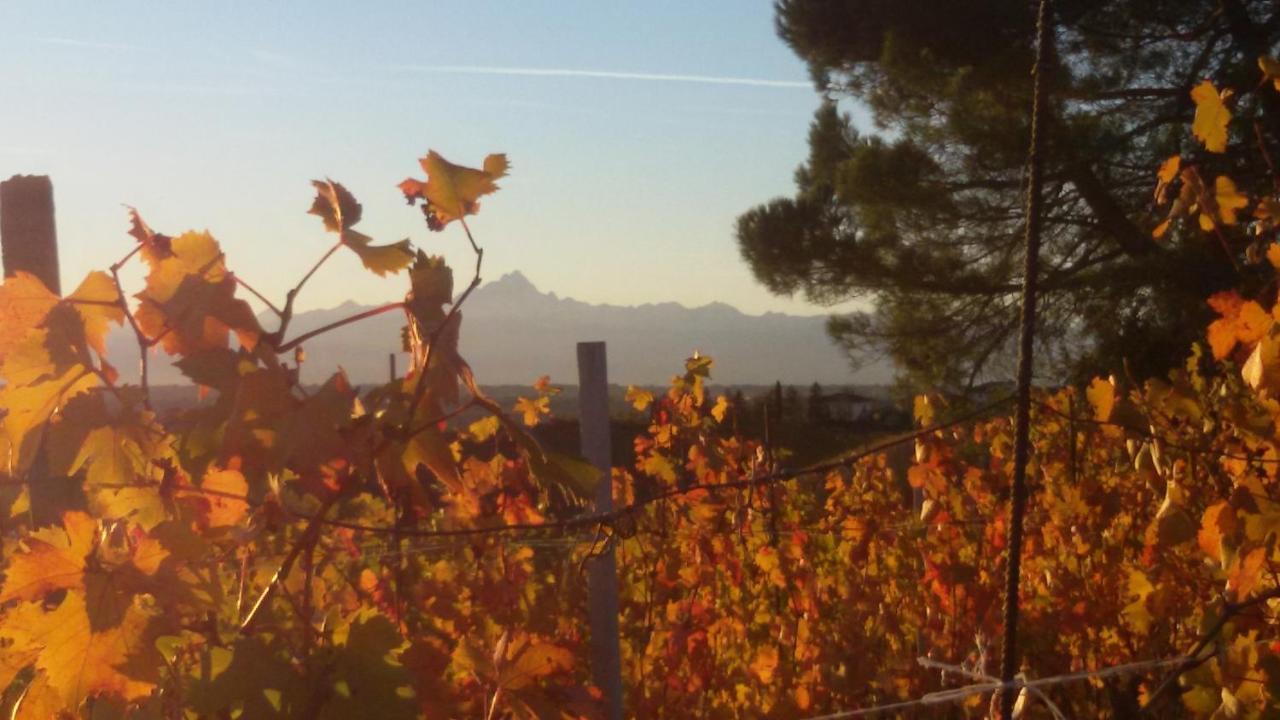 Cascina Torello Dogliani Eksteriør billede