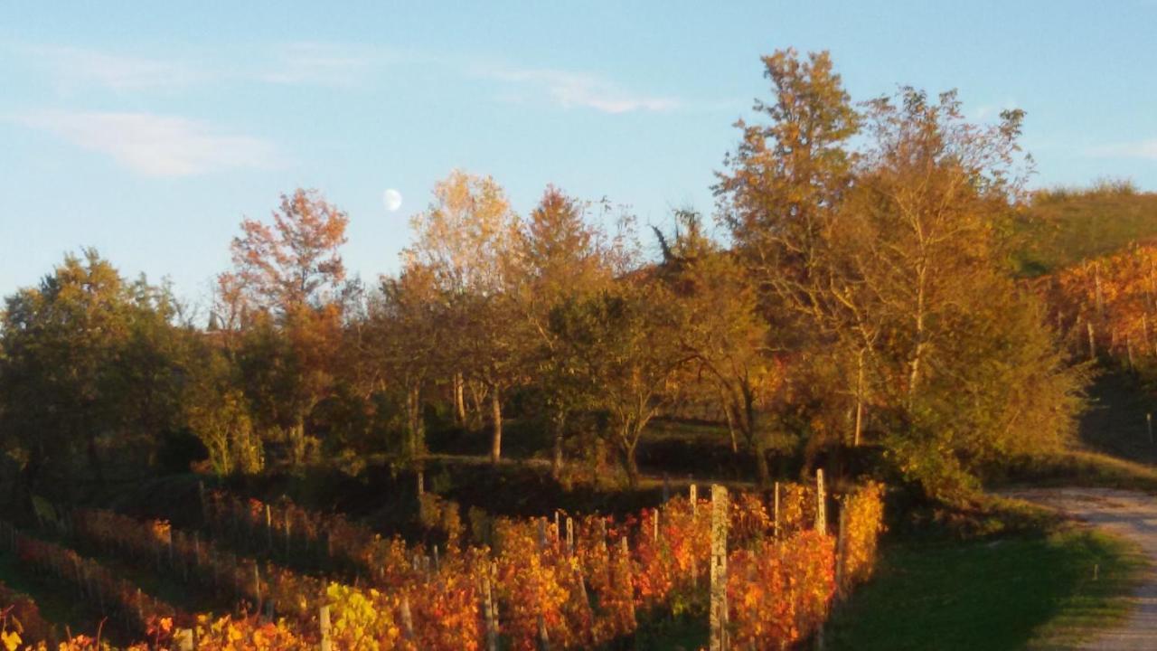Cascina Torello Dogliani Eksteriør billede