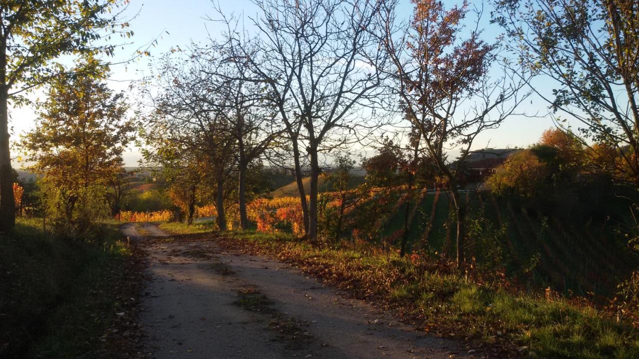 Cascina Torello Dogliani Eksteriør billede