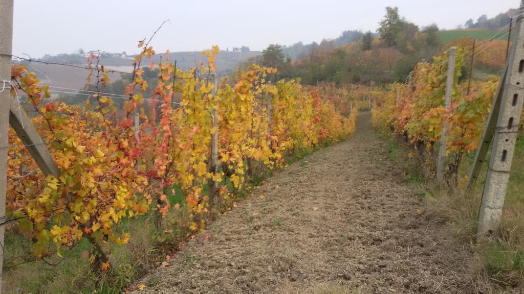 Cascina Torello Dogliani Eksteriør billede