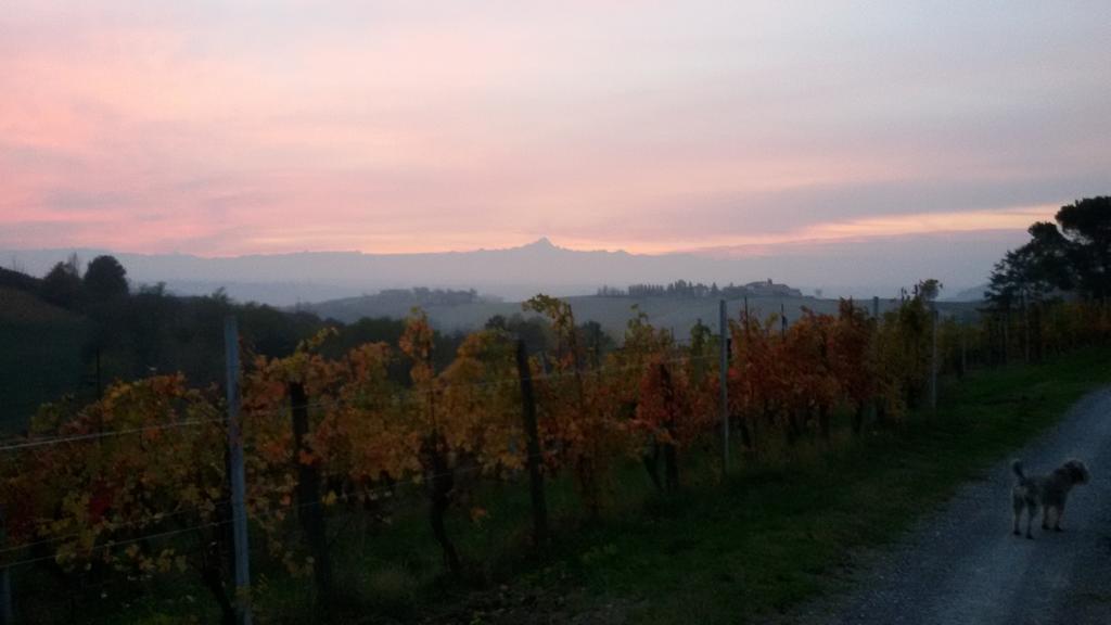 Cascina Torello Dogliani Eksteriør billede