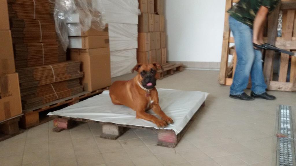 Cascina Torello Dogliani Eksteriør billede