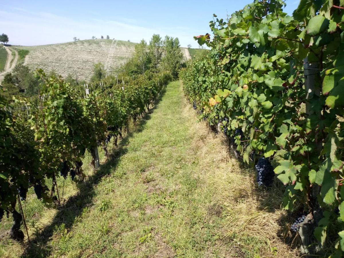 Cascina Torello Dogliani Eksteriør billede