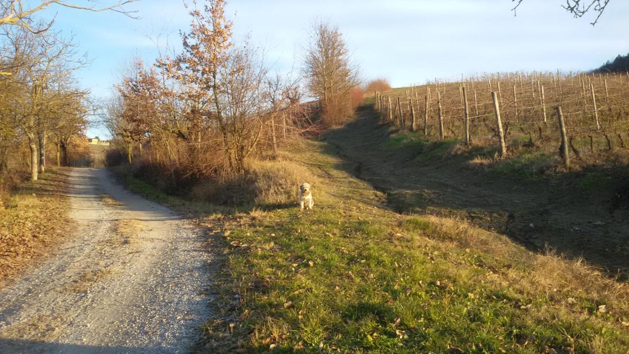 Cascina Torello Dogliani Eksteriør billede
